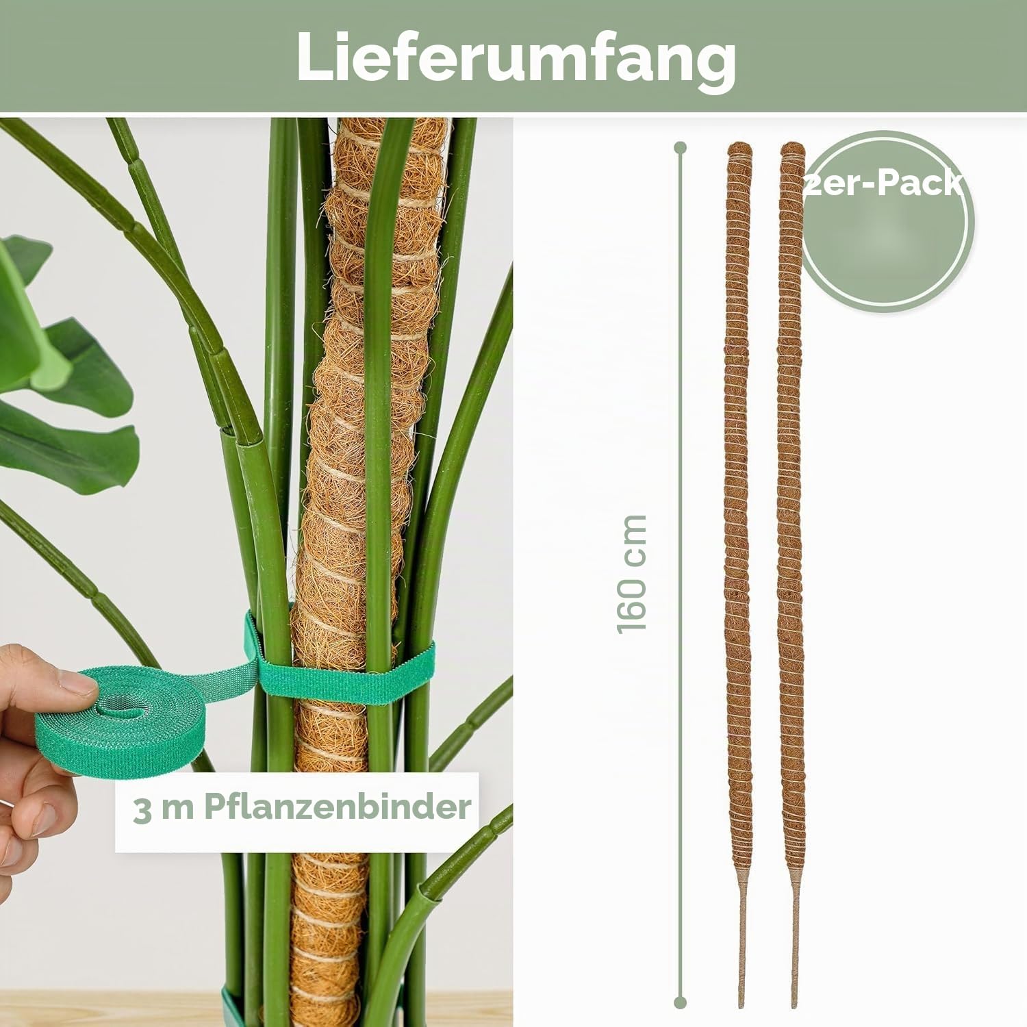 K-Brands 160 cm Moosstab für Monstera 2 Pack Biegsame Kokosfasern Pflanzenstütze für Kletterpflanzen -Rankhilfe für Monstera - Rankhilfe Blumenstab - Pflanzstab mit 3 m Pflanzenbinder