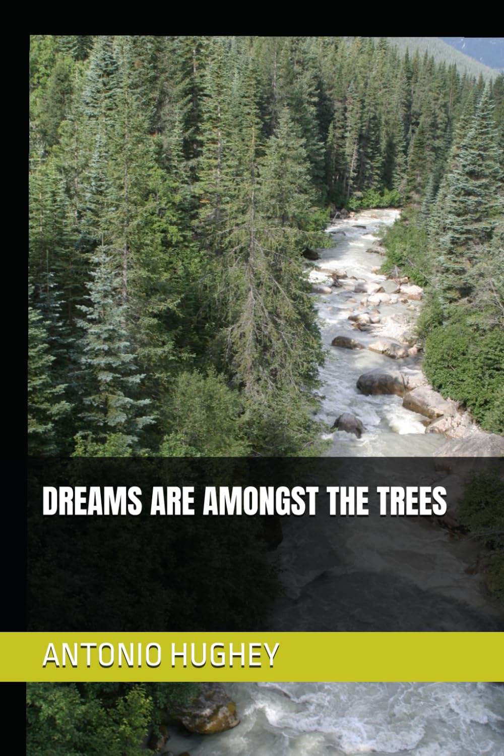 DREAMS ARE AMONGST THE TREES