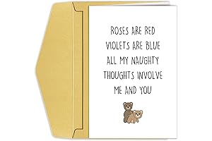Naughty Valentines Day Card for Wife: Inappropriate Poem Birthday Card