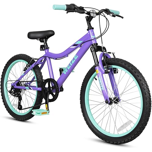 WEIZE 20 24 Inch Kids Mountain Bike,Kids Bike for Girls Age 6-14 Year Old,6 Speed Kid Bicycle with Front Suspension Fork,Adjustable Seat Height,High-Carbon Steel Frame,Ideal for Girl Adventurers