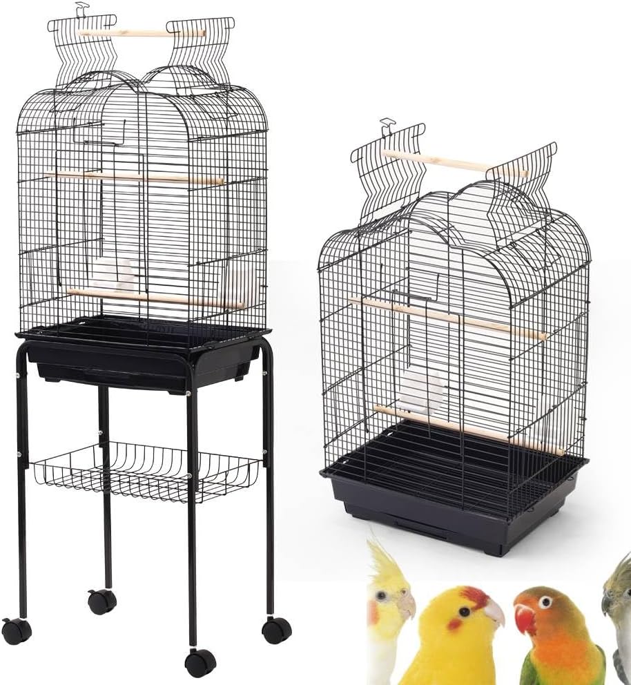 小学館/CD Books/日本野鳥大鑑/増補版/鳴き声420/蒲谷鶴彦/図鑑 日本野鳥