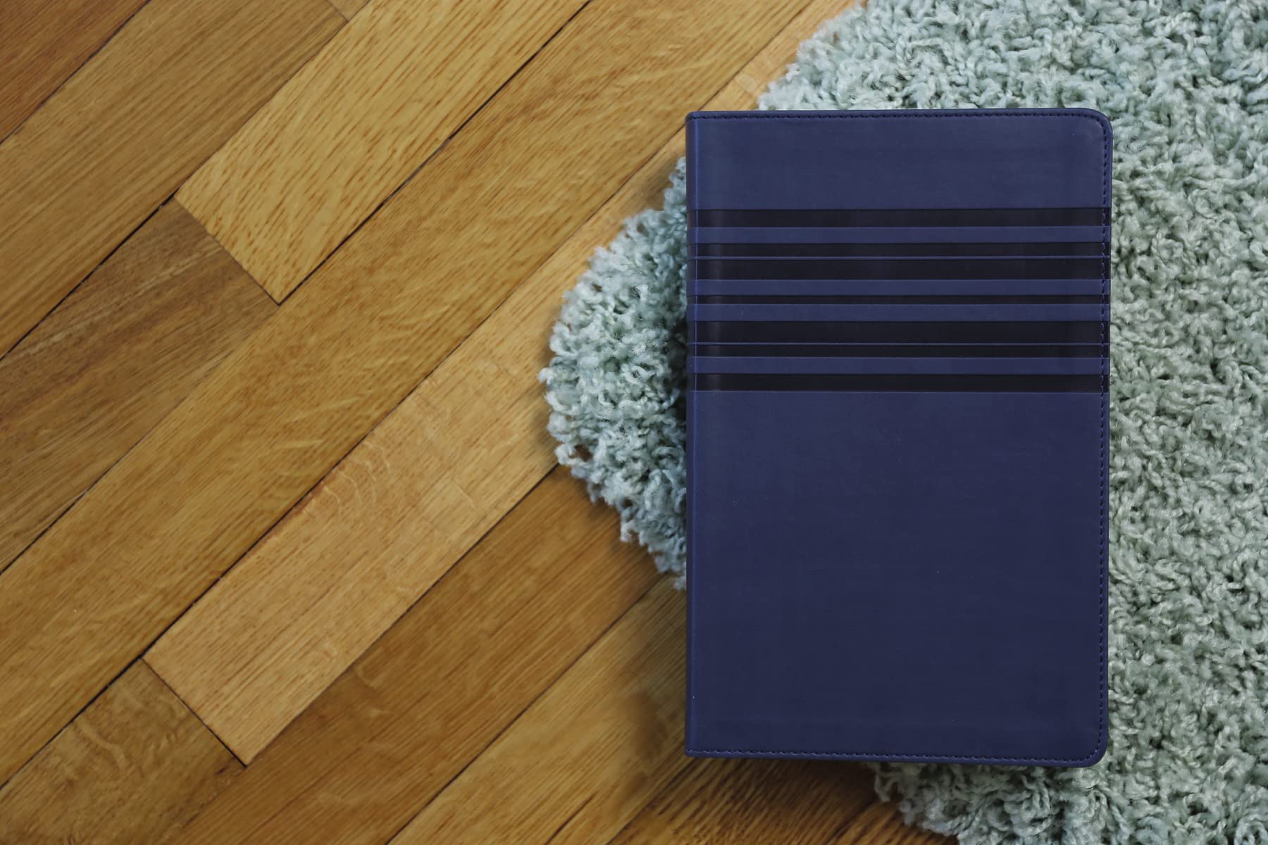 NIrV, Holy Bible, Large Print, Leathersoft, Blue - Image 4