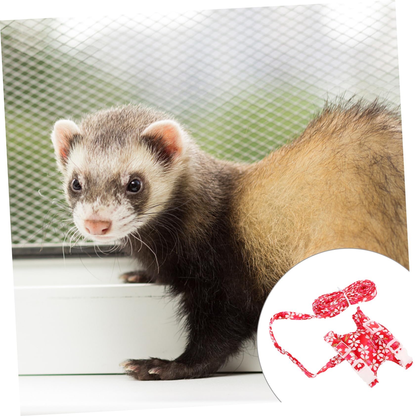 BESPORTBLE 2sets Pettorina e Guinzaglio Per Regolabile e Traspirante Per e Attività All Compatibile Ginepig Criceti e Furetti