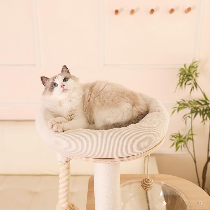 Árbol para Gatos Moderno de Madera con 5 Niveles y Hamaca miniatura 7