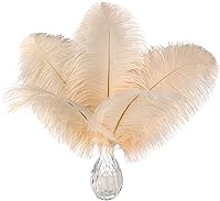 Vista 95 de 24 piezas de plumas de avestruz blanco natural de 10-12 pulgadas (25-30cm) para centros de mesa de bodas y fiestas, arreglos florales y decoración