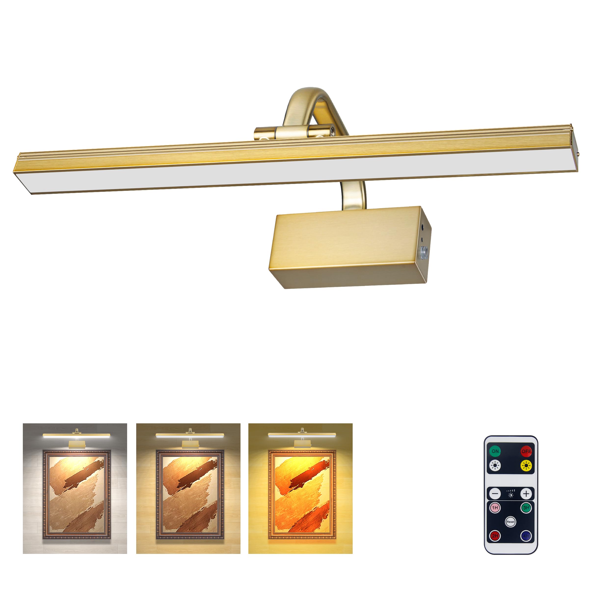 RAIFOOLLY Picture Lights for Wall, Battery Painting Light with Remote Dimmable and Timer, 3 Lighting Modes Art Display Light, Wall Decorative Lighting for Canvas, Portrait,Frame