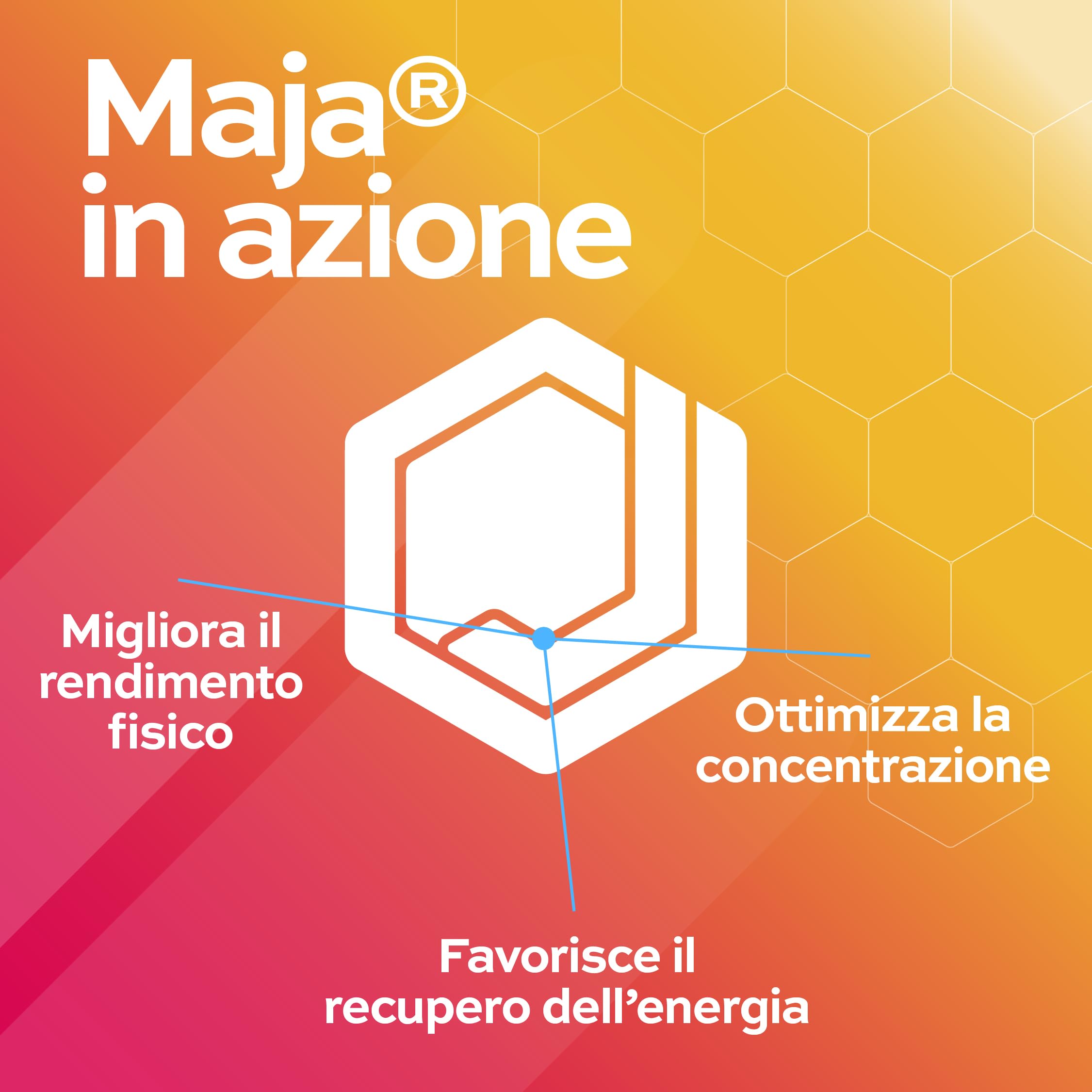 MAJA Pappa Reale Integratore Potente Ricostituente Energia Fisica e Mentale Adulti Bambini Sportivi con Echinacea Miele di Acacia Ginseng Sanbuco Arginina 10 Flaconi Made in Italy