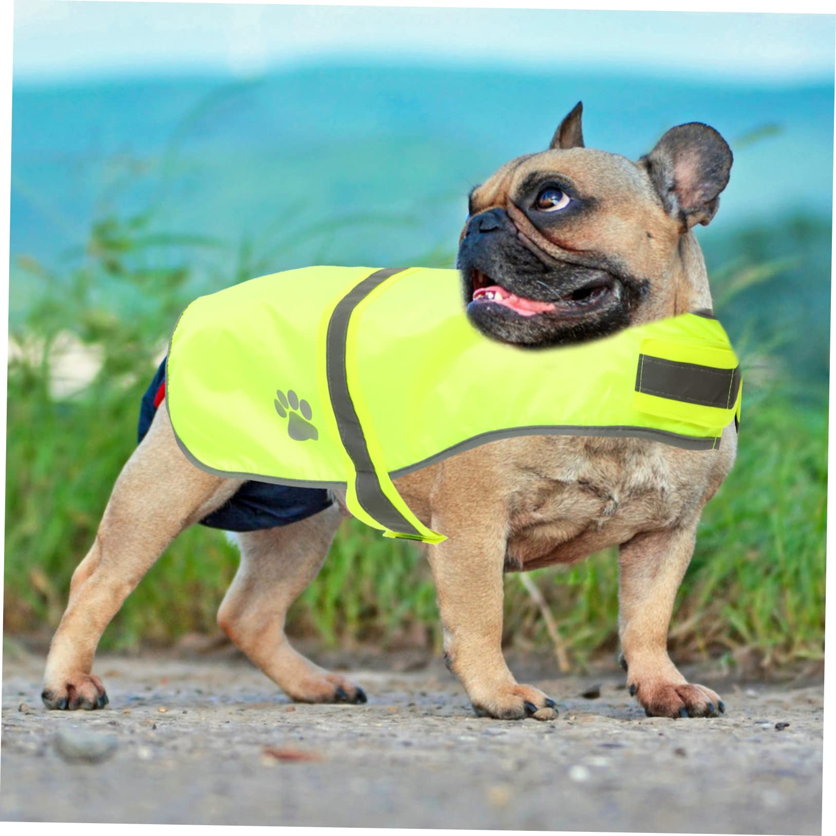 Housoutil 4 Stücke Hund Weste Reflektierende Weste Für Hunde Haustier Bekleidung Atmungsaktive Mesh Oxford Stoff Verstellbaren Trägern Modische