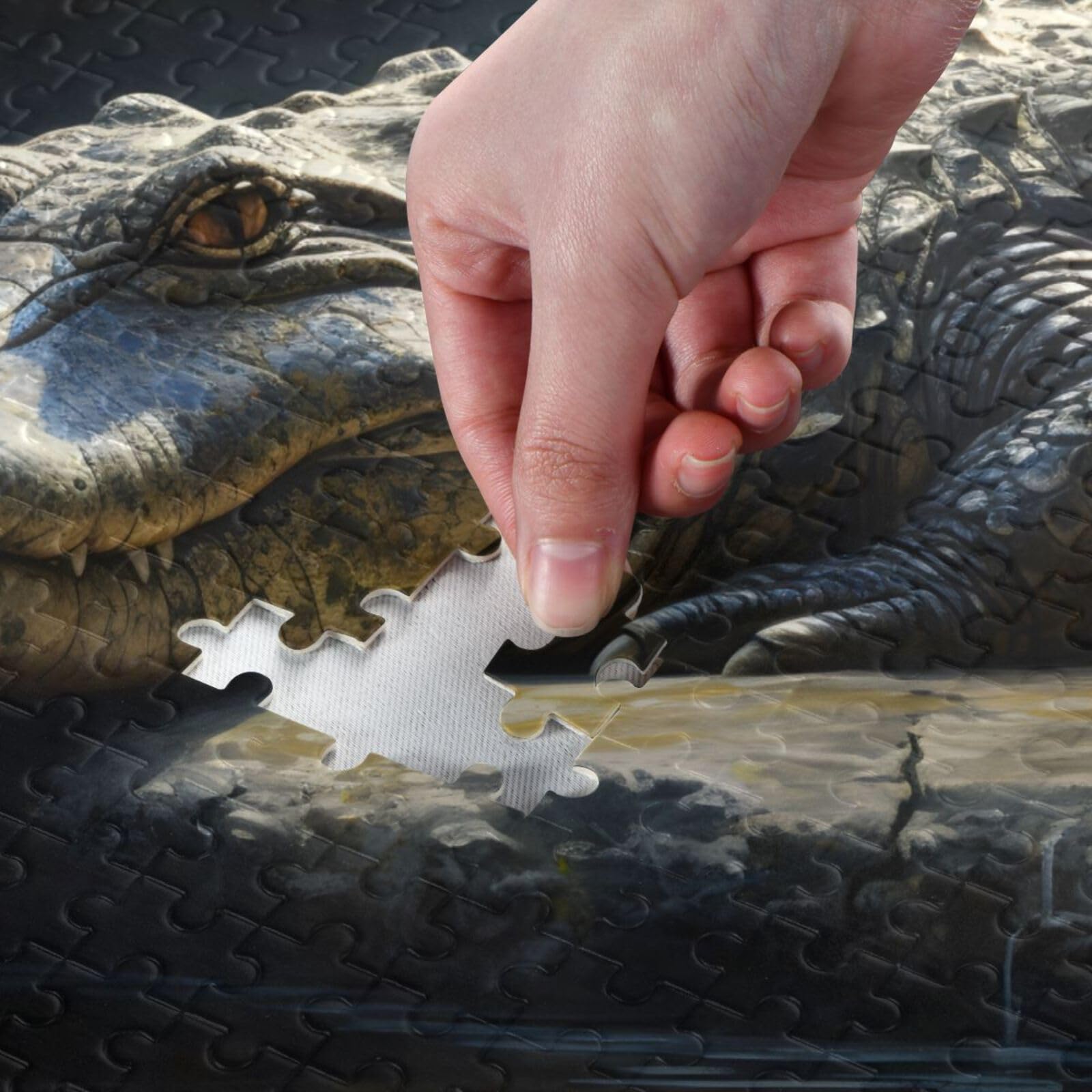 Amazon.com: WOIWB Jigsaw Puzzle 1000 Pieces Adults Pool Crocodile