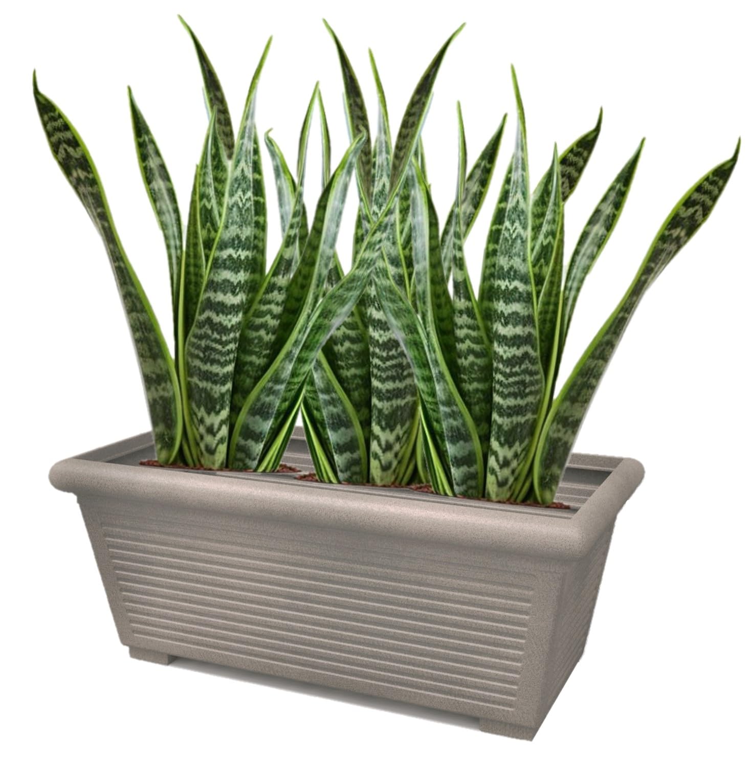 Pot de fleurs rectangulaire 80cm bac à plantes taupe extérieur intérieur Millerighe