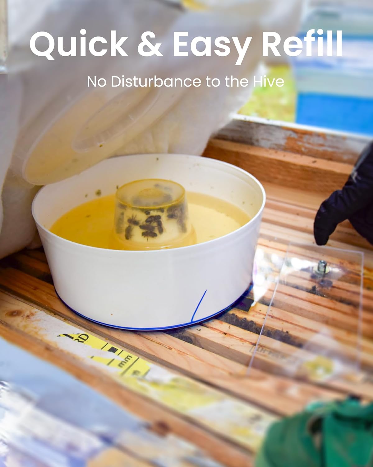 1PC Round Rapid Bee Hive Feeder, Honey Bees Feeders Beekeeping Feeding Equipment - Image 3