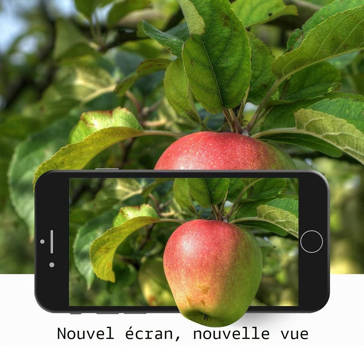 Brinonac Écran pour iPhone 5s/SE 2016 4,0" LCD de Remplacement Complet Préassemblés Capteur de Proximité, Caméra Frontale, Écouteur et Bouton Home avec Kit de Réparation (Noir)