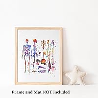 Vista 3 de Dignovel Studios 8X10 Sistema esquelético sin marco humano esqueleto anatomía cuerpo medicina ciencia acuarela arte impresión póster pared guardería