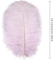 Vista 112 de 24 piezas de plumas de avestruz blanco natural de 10-12 pulgadas (25-30cm) para centros de mesa de bodas y fiestas, arreglos florales y decoración