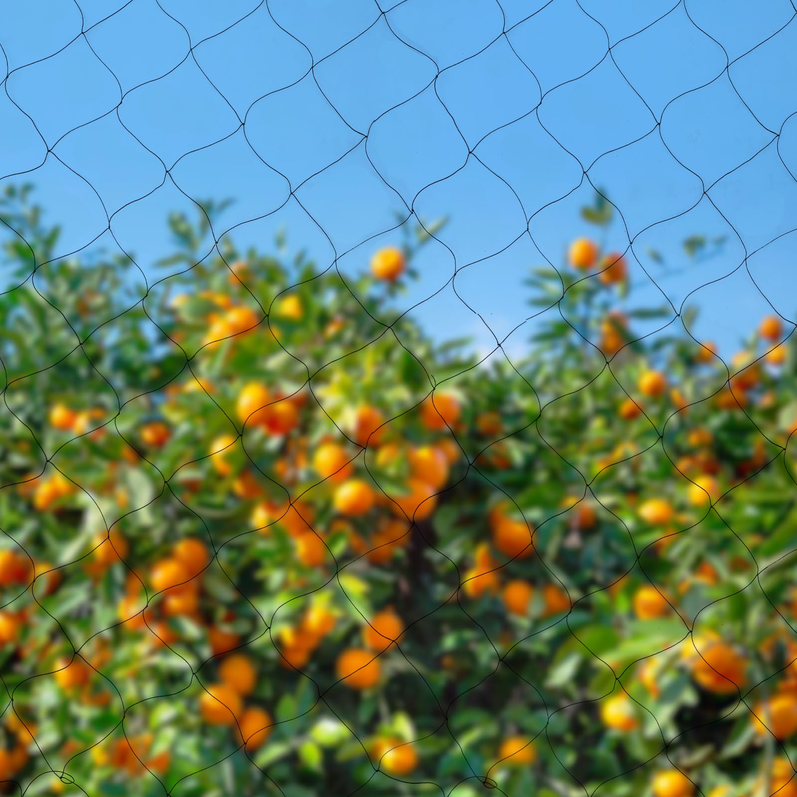Rete di protezione per uccelli, a maglia stretta, per stagno, per foglie, con ganci, fascette, da giardino, per esterni, aiuole rialzate, per alberi da frutto, protezione da uccelli, galline, piccioni