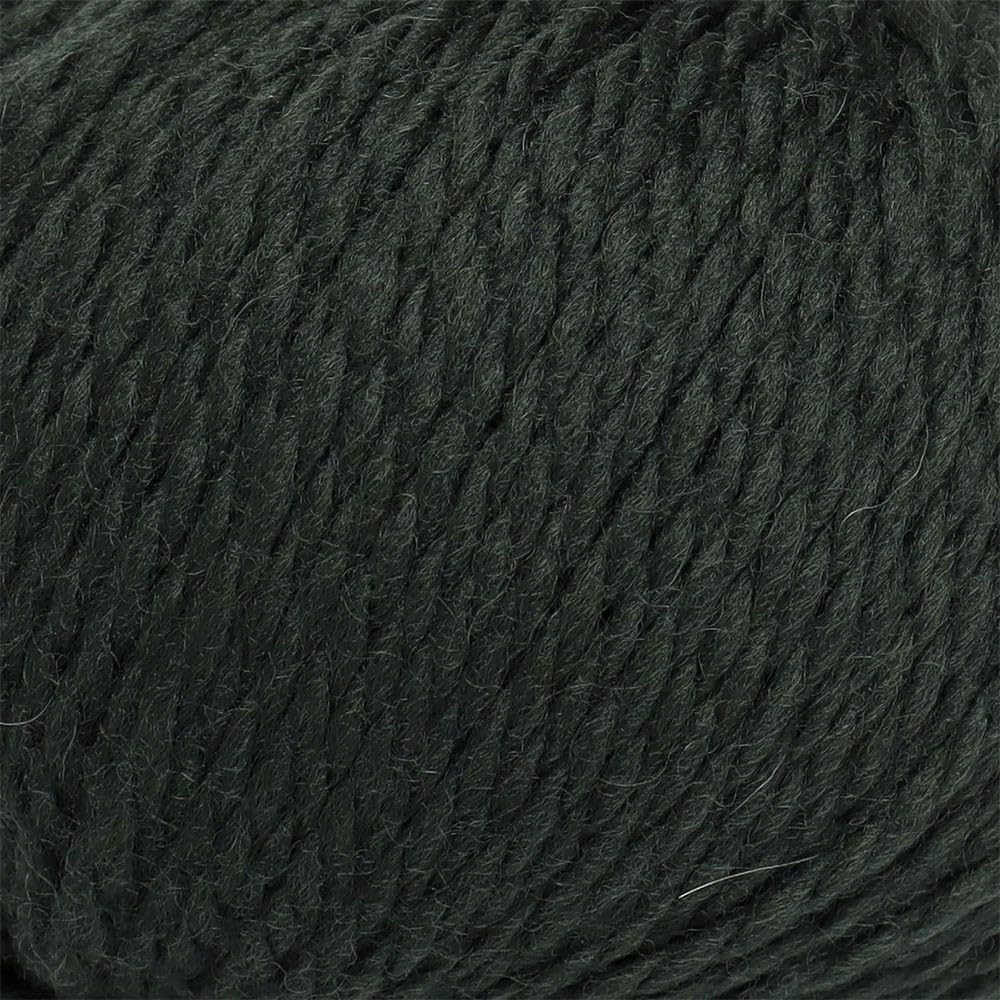 100% przędzy z wełny Highland, zestaw 3 motków (150 g) waga czesankowa - pozyskiwana bezpośrednio z Peru - niebiańska miękka i idealna do robienia na drutach i szydełkowania (leśna zieleń)