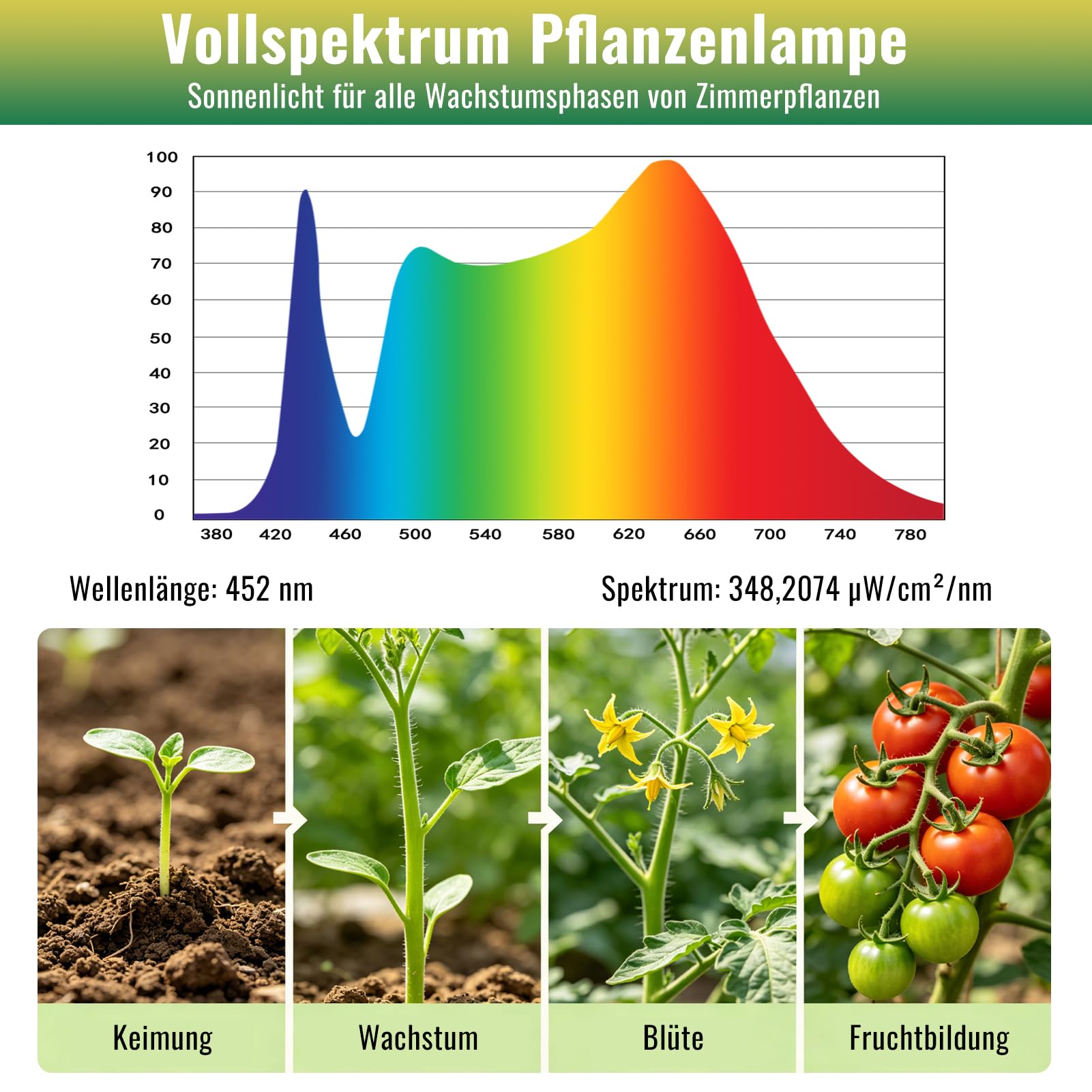 Ampoule Lampe Horticole avec Trépieds,19W Led Horticole Spectre Complet | E27 Lampe De Croissance pour Plantes,Dimmable 36 LEDs Lampe Plante Avec Minuterie 4/8/12h,pour Germination Croissance