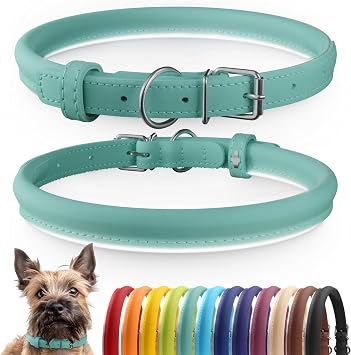 Tangle-Free Reflective Leather Dog Collar, 9-12 in, Mint Green