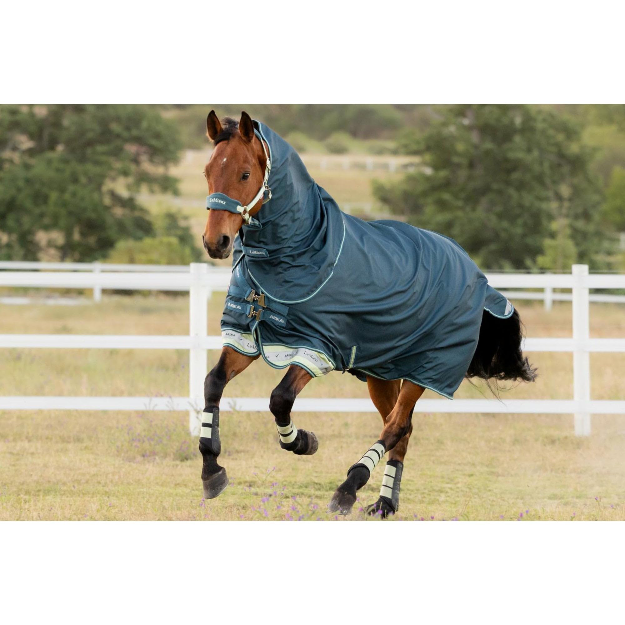 LeMieux Arika Ripstop 50g Pony/Horse Turnout Rug - Jungle