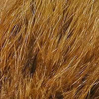 Vista 26 de Hareline Fly Tying X-Select Marabou – Premium Marabou Feathers for Fly Tying Streamers, Woolly Buggers & Leeches