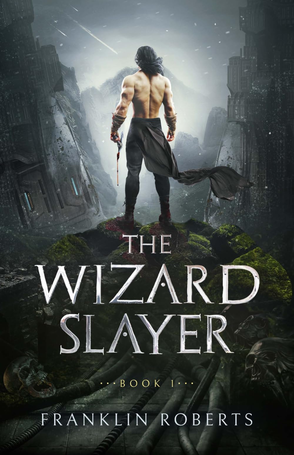 The Wizard Slayer (The Wizard Slayer Saga)