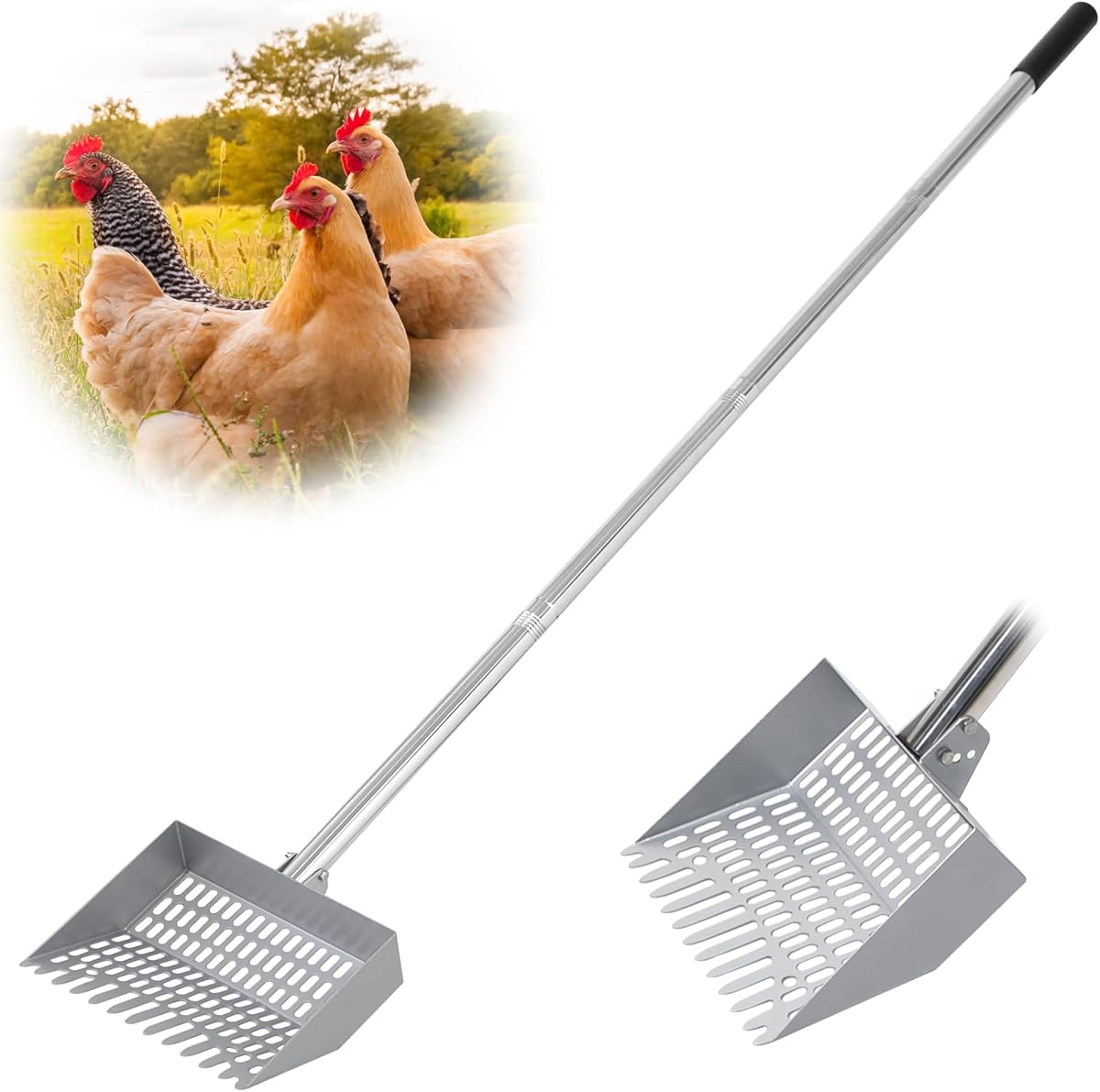 Chicken Poop Scooper Spring Steel Sifting Shovel 38–66" Adjustable Metal Chicken Scooper for Chicken Coop Cleaning Tool with Long Stainless Steel Pole & Rubber Handle