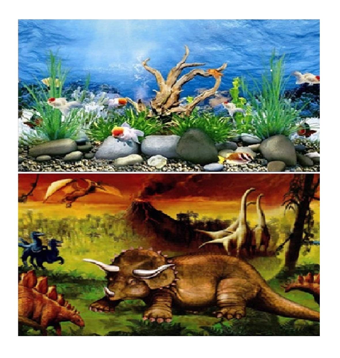 Hidom Aquarium Background Poster Double Sided - Height 24" / 60cm - Length 10 FT / 305cm - Two Scenic Pictures displaying Aquatic and Vivarium Reptile Backdrops - DS-600-9091/9092
