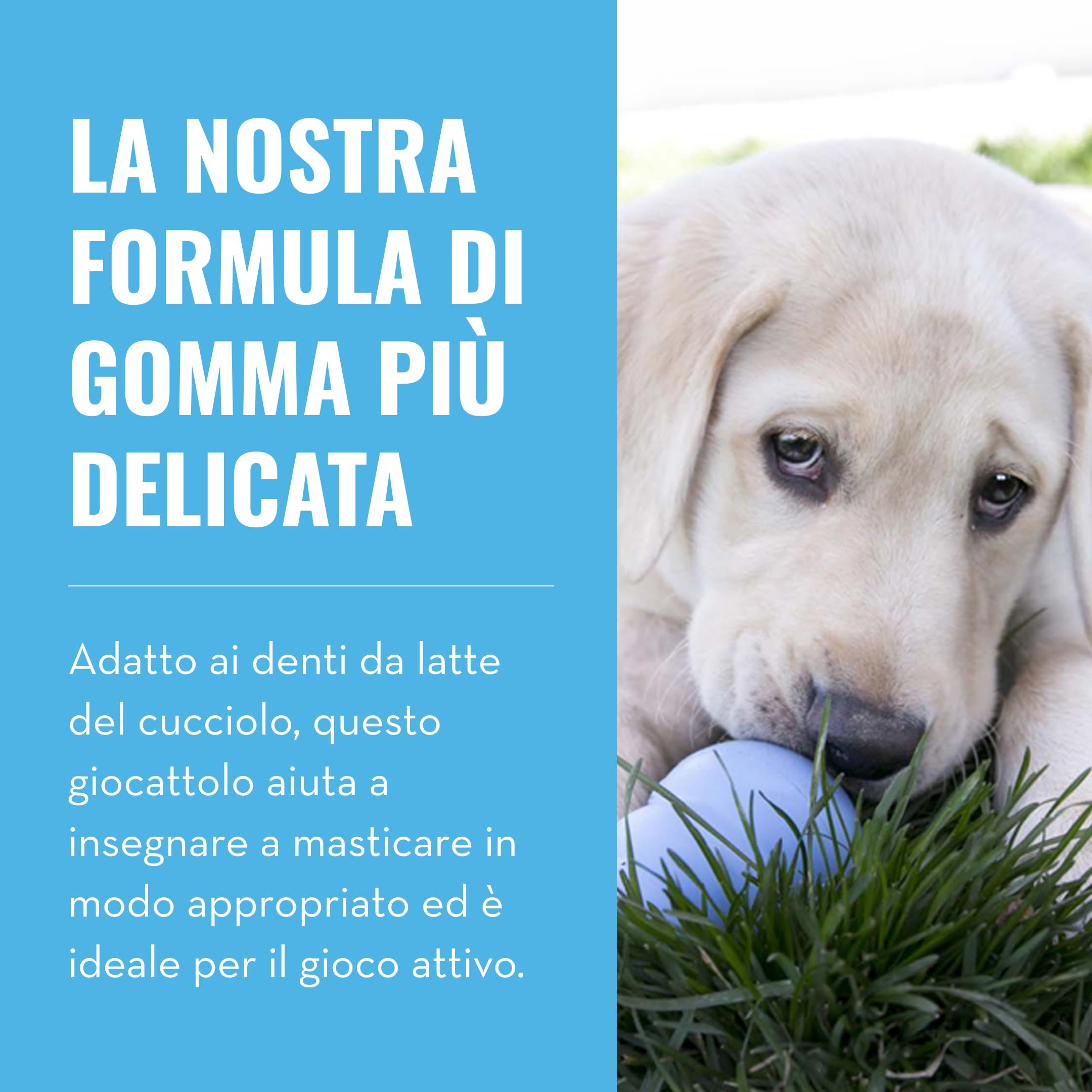 KONG Puppy Giocattolo Da Masticare Impagliabile Per Cuccioli Gomma Naturale Blu Taglia Media