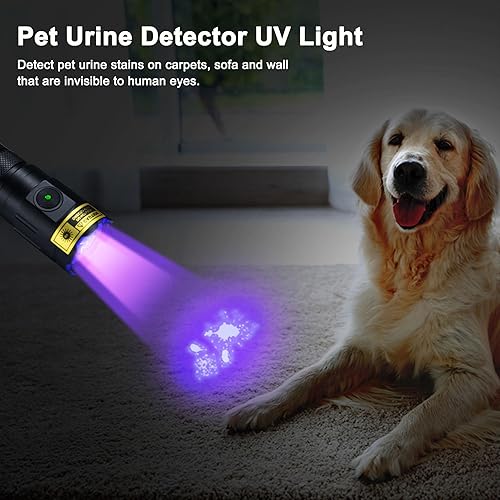 Miniatura 2 de DARKBEAM Linterna UV de 395 nm de luz negra, recargable de 3 LED, potentes linternas ultravioleta USB -C, detector de orina de mascotas, resistente