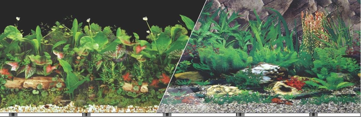 BLUE RIBBON PET PRODUCTS BLE BKGD Tropical/FW 12IN