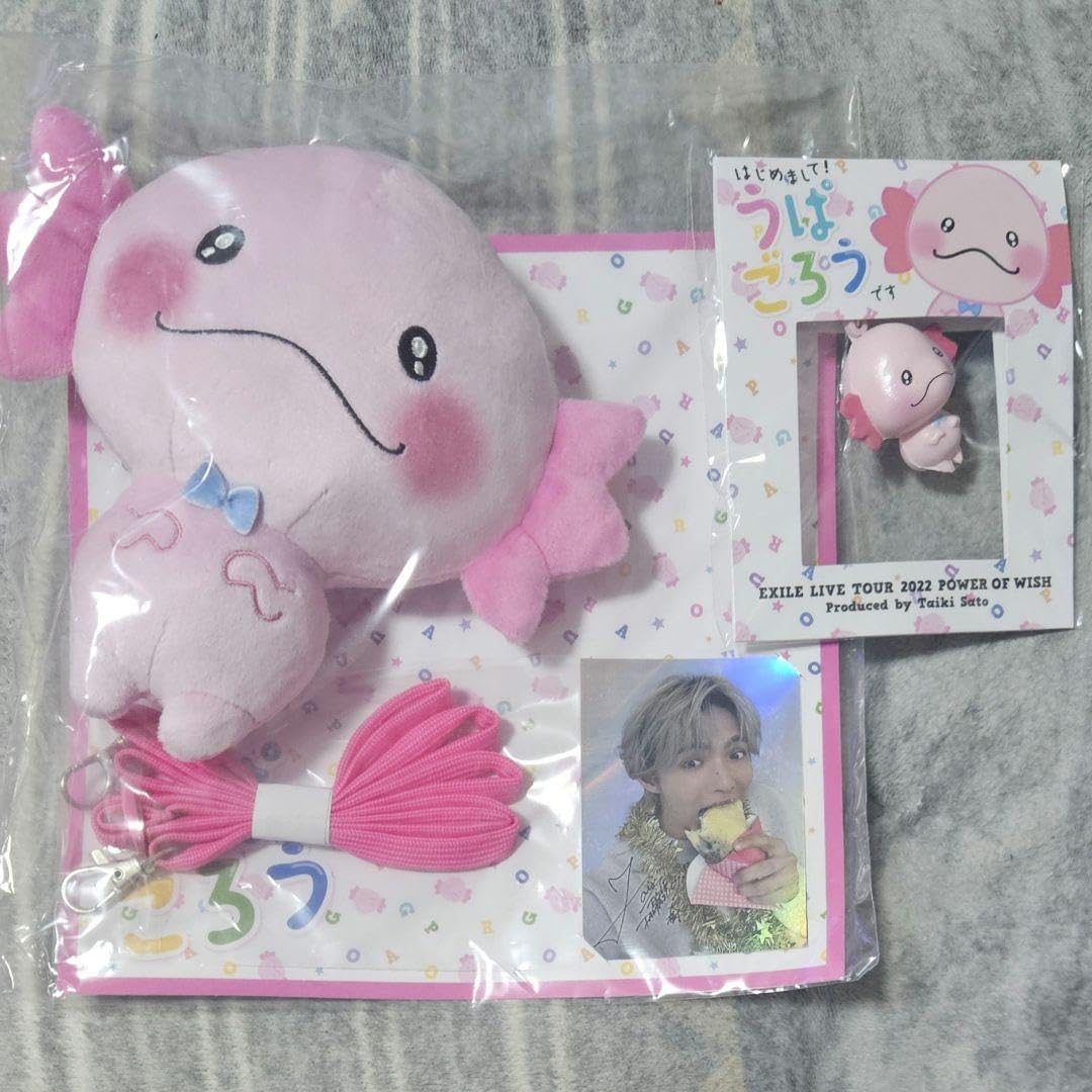 うぱごろう パスケース キーホルダー セット うぱごろう 佐藤大樹