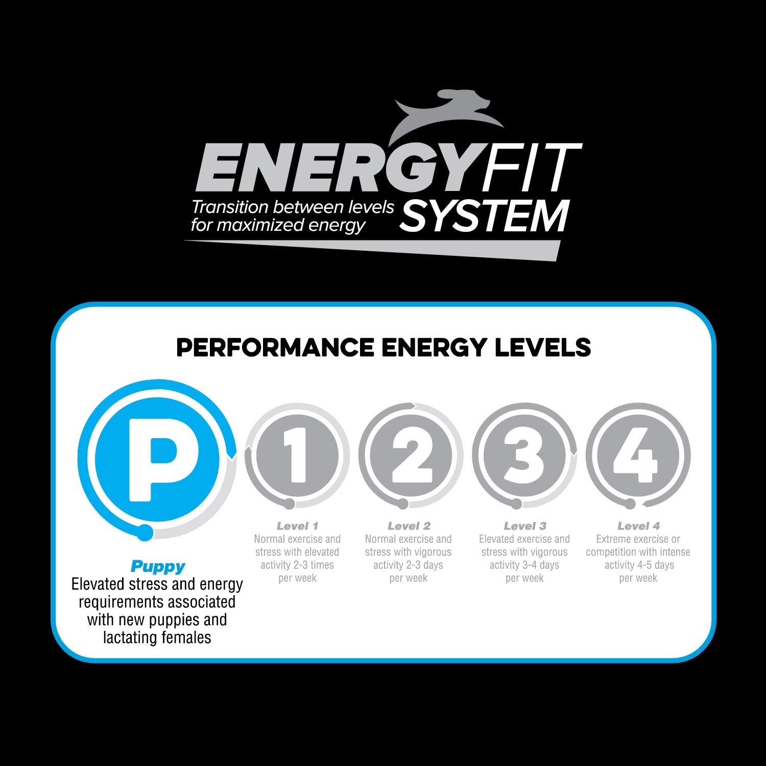 NATIVE Performance Puppy Food | Chicken Meal and Rice Formula | No Filler or Bi-Products | 40 Pound Bag