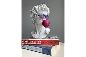 David Bust Woow Pop Art Michelangelo's David Sculpture David