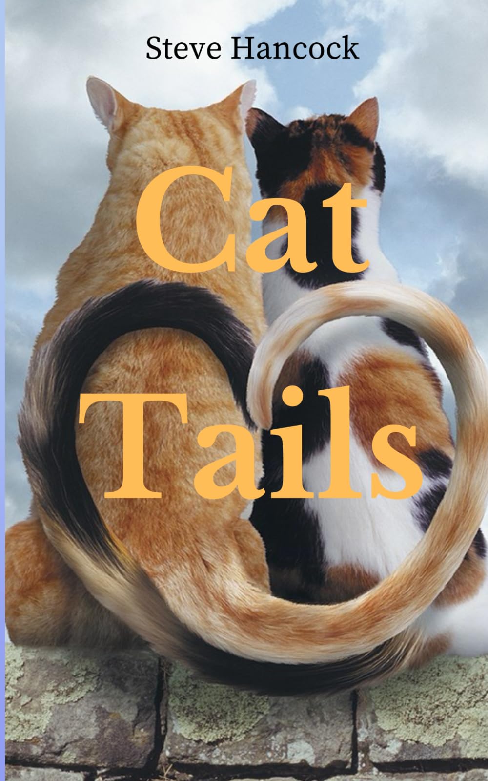 Cat Tails: A Story of Feline Fun and Adventure