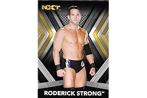 2017 Topps NXT #26 Roderick Strong NM-MT
