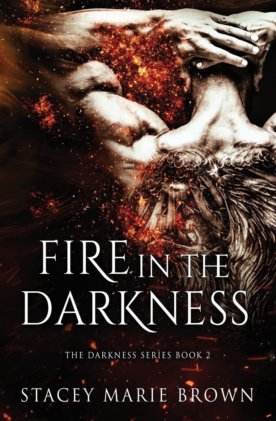 Fire in the Darkness: 2 (Darkness Series)