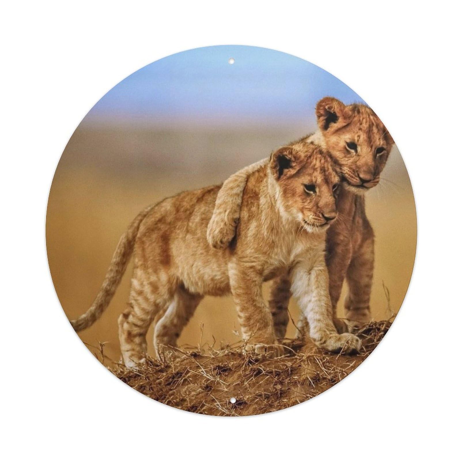 Animal Cute Lion Cub Vintage Metal Tin Sign Plaque Wall Decor for Cafe, Club, Garden Round Metal Poster 8x8Inch