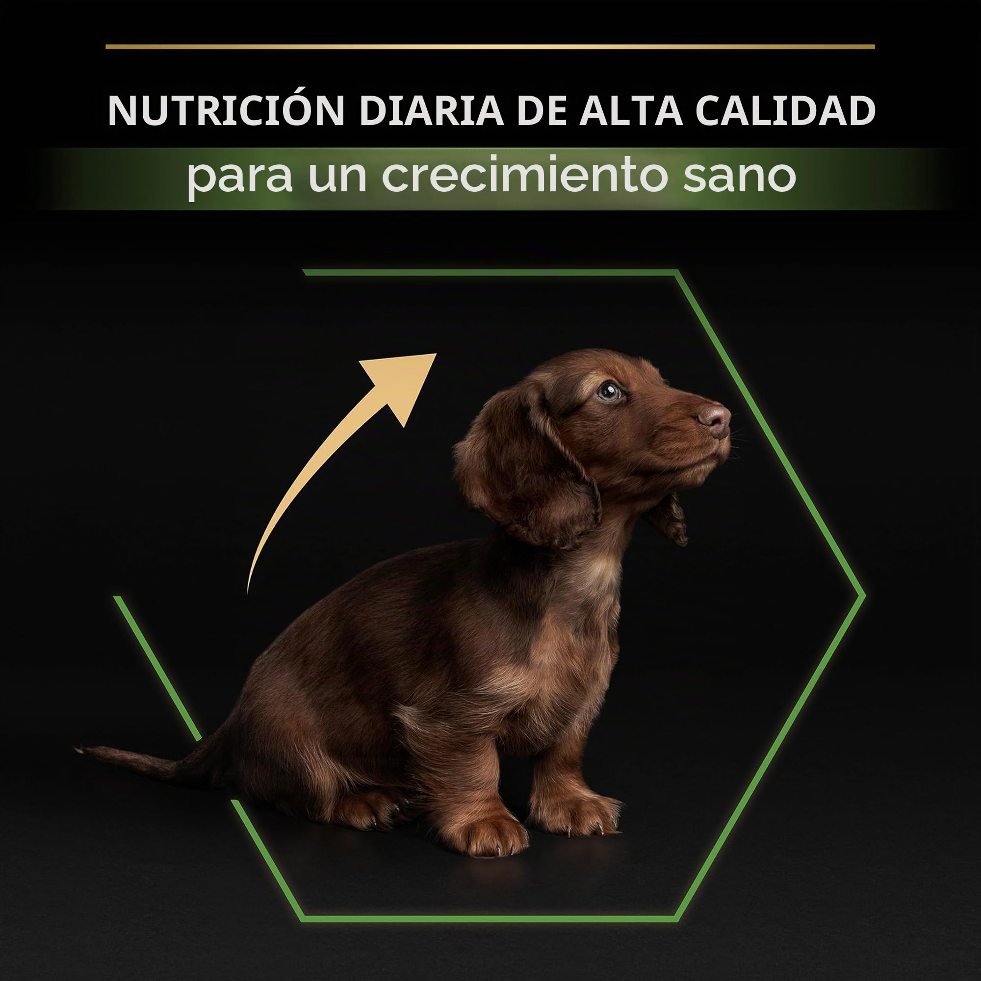 Pro Plan Purina Small & Mini Puppy OPTI Start Chicken Comida para Perros - 7000 gr