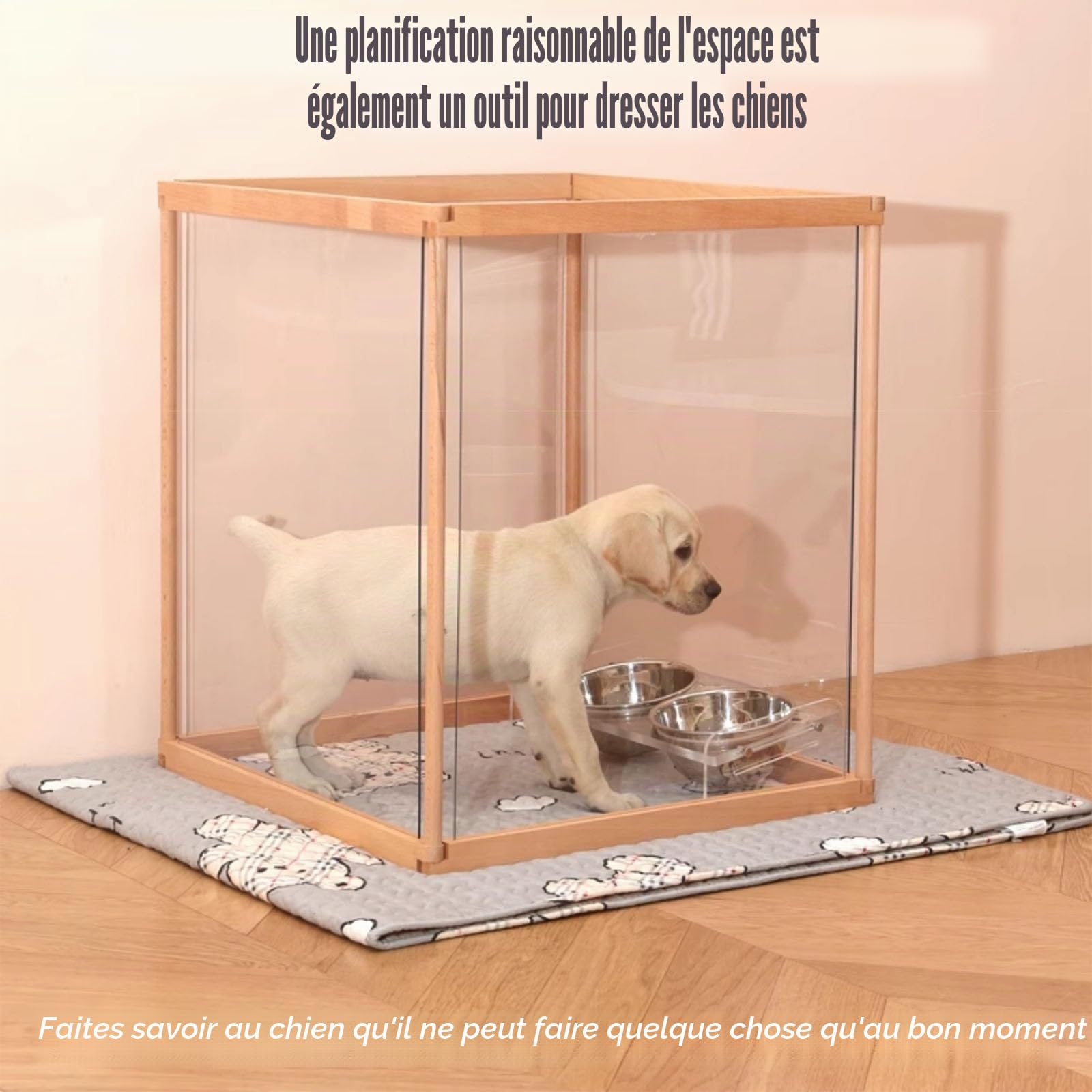 Enclos Lapin Intérieur Modulable,Parc for Animaux avec Porte,Grand Enclos for Chien en Acrylique,Parc pour Chien ，pour Chat Parc Chiot Cage for Chien Cage Lapin(Small Door,6 Pieces)
