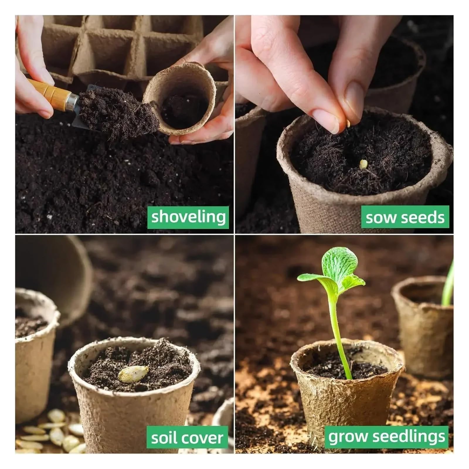 Générique 20 à 200 Pots Ronds en Tourbe for Jardin, Godets de semis, Plateaux Plantation for Herbes aromatiques et Outils(200PCS)