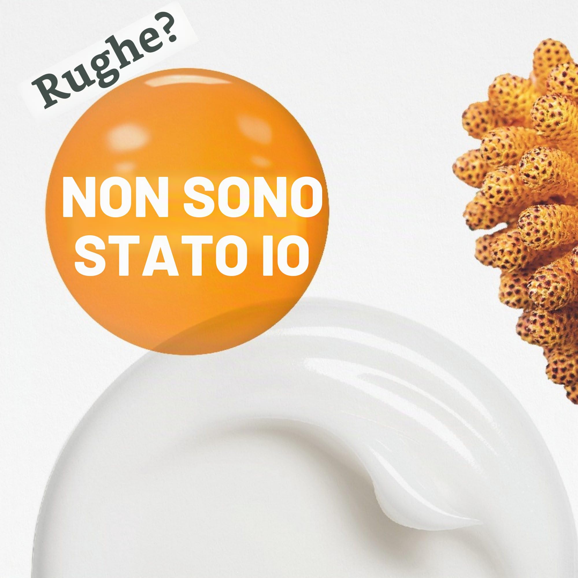 KORRES BLACK PINE PRIMUS crema notte rinnovatrice contro le rughe, per una pelle più tonica durante la notte, senza siliconi e parabeni, vegan, 40 ml