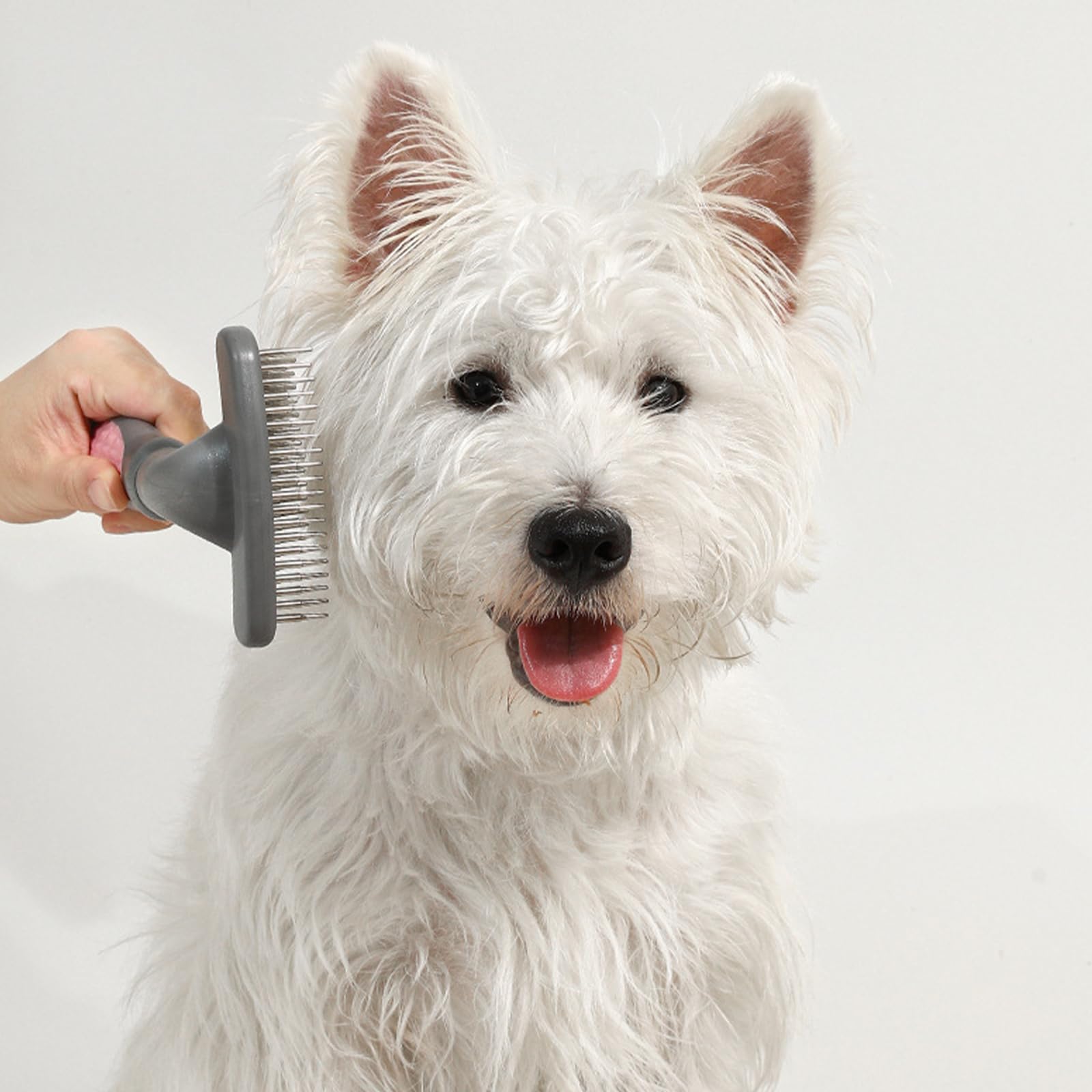 Hundepflege, Enthaarungskamm für Hunde, entfernt lose Haare, Massagekamm für Hunde, zum Entfernen von losen Haaren