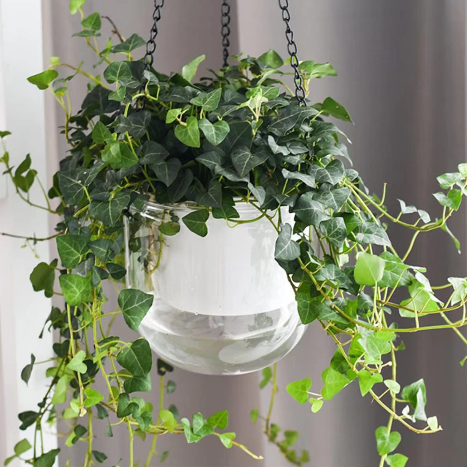 Lot De 2 Pots De Fleurs Suspendus Auto-Arrosants 13,5/21 Cm - Intérieur Et Extérieur
