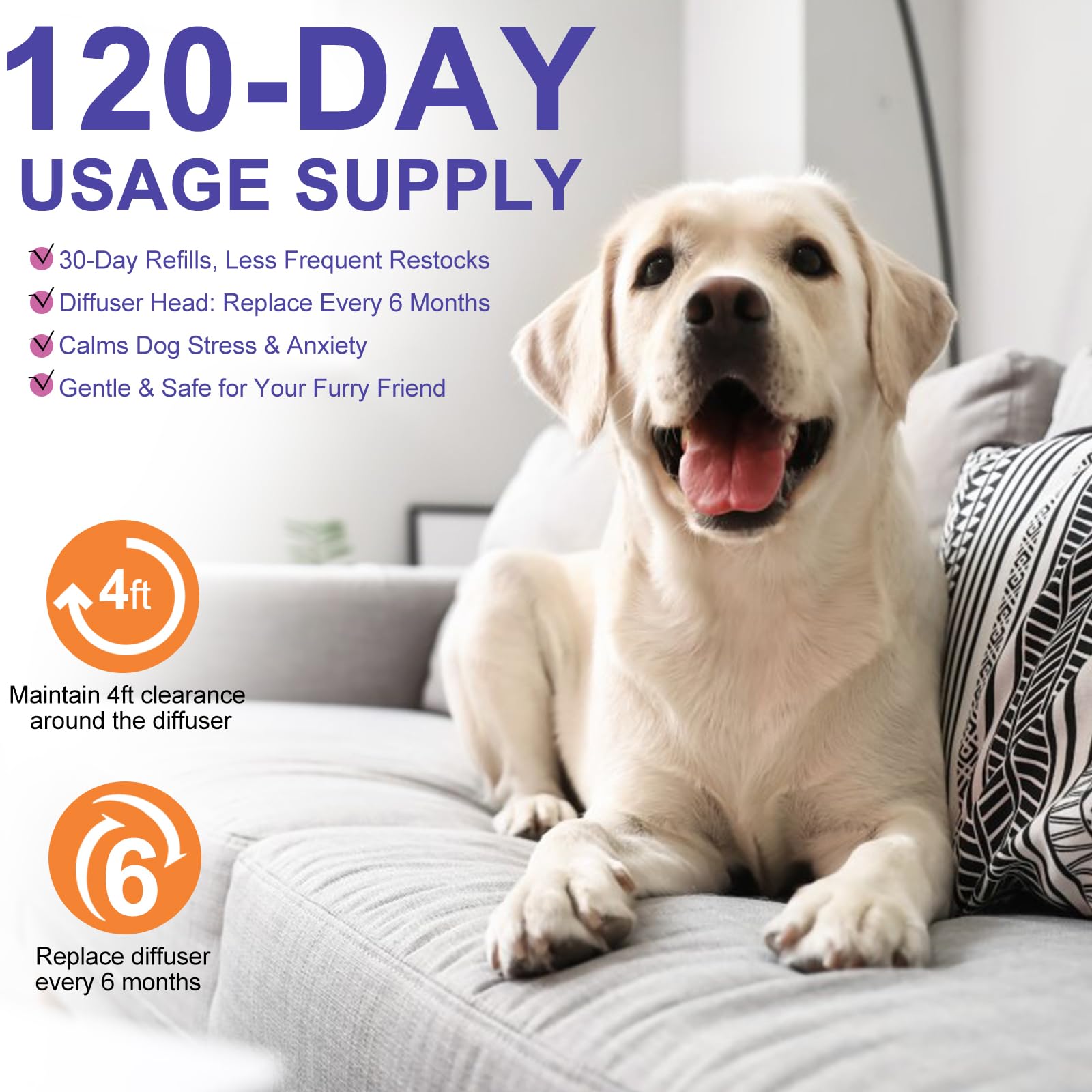 JJW Kit Diffuseur de Phéromones pour Chien 6-en-1 | 2 Diffuseurs + 4 Recharges (120 Jours) | Anti-Stress, Réduit Aboiement/Mordillage | Inodore & Sûr (01)