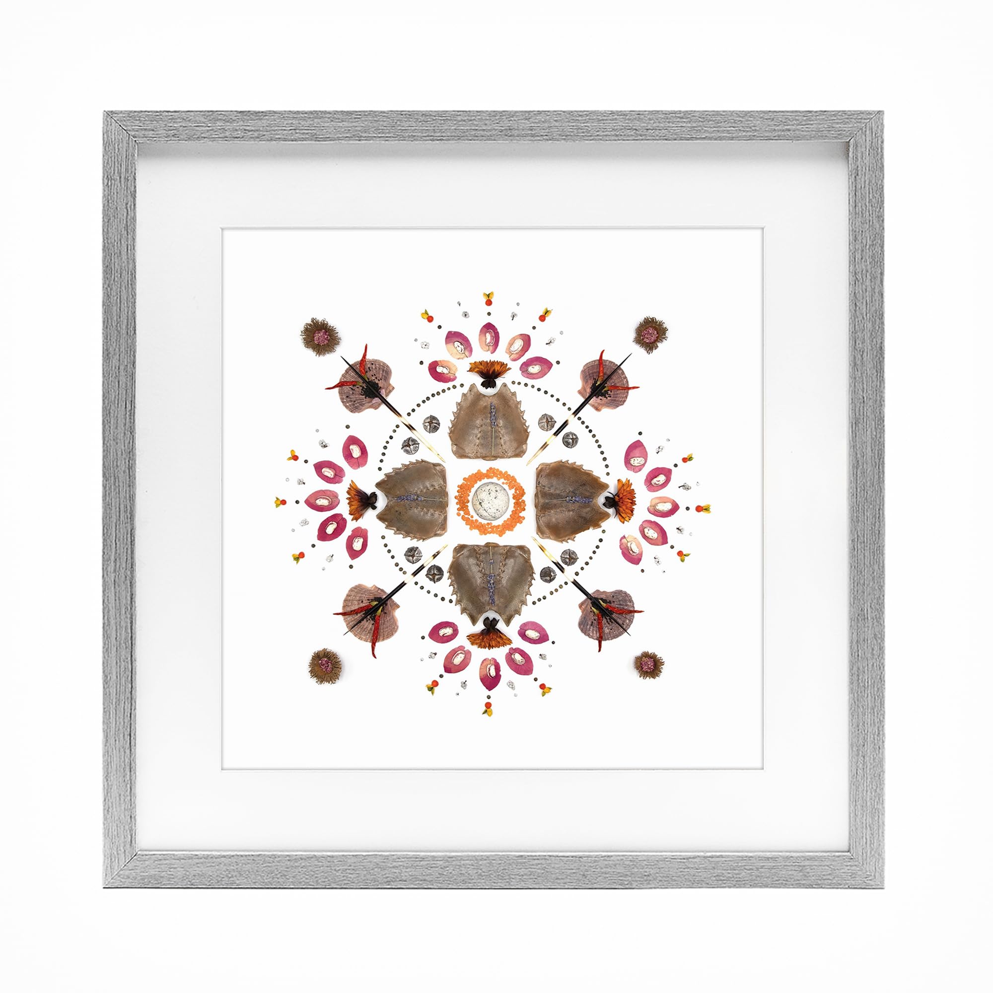Stupell Industries 'Symmetrical Nautical Collection', Framed Print Under Glass, Gray, 16 x 16 Inches, Easy to Hang and Sturdy, Made in USA, by Beth Adoette