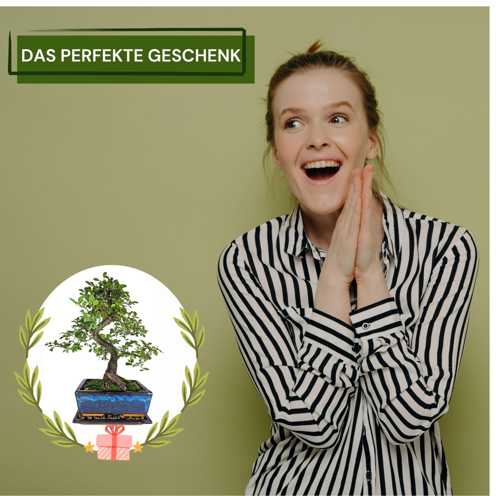Starterset mit chinesischer Ulme – ca. 30–40 cm, 10-12 Jahre alt – inkl. Edelstahlschere, Untersetzer & Pflegebuch – Bonsai Komplettset für Einsteiger & Bonsai-Liebhaber