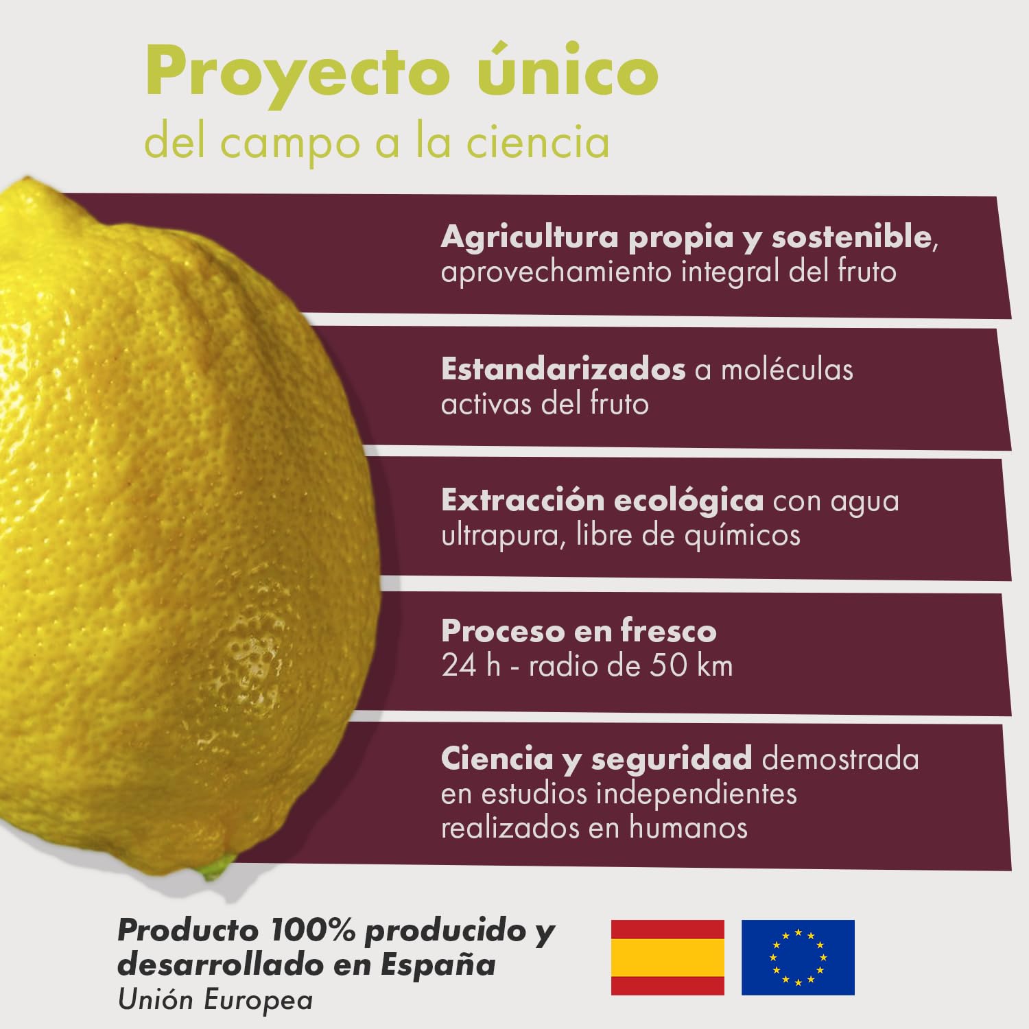 GRANATUM PLUS POLIFENOLES MEDITERRANEOS EXTRACTO DE LIMON PLUS 60 CAPSULAS