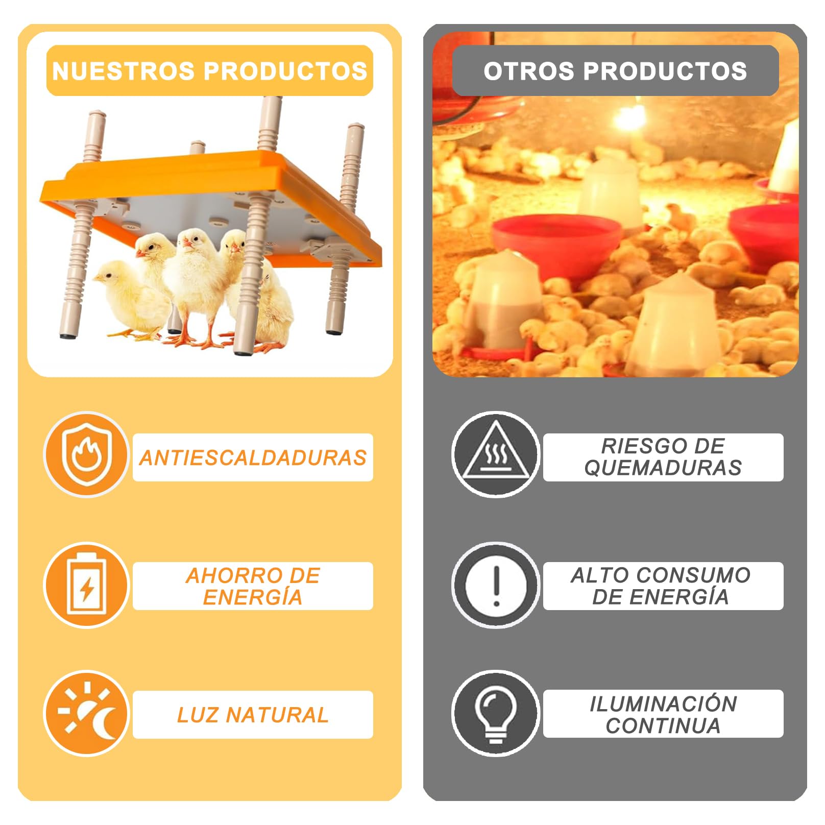 Lampara Calor para Gallineros, Placa Calefactora Incubadora de Pollitos, Placa Calefactora Pollos con Termostato de Bajo Consumo, Altura Ajustable, para Codorniz Pato y Más Negro FG-30