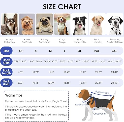 Miniatura 3 de Queenmore Traje de recuperación quirúrgica para perros, traje de recuperación para perros y gatos después de la cirugía, traje de algodón