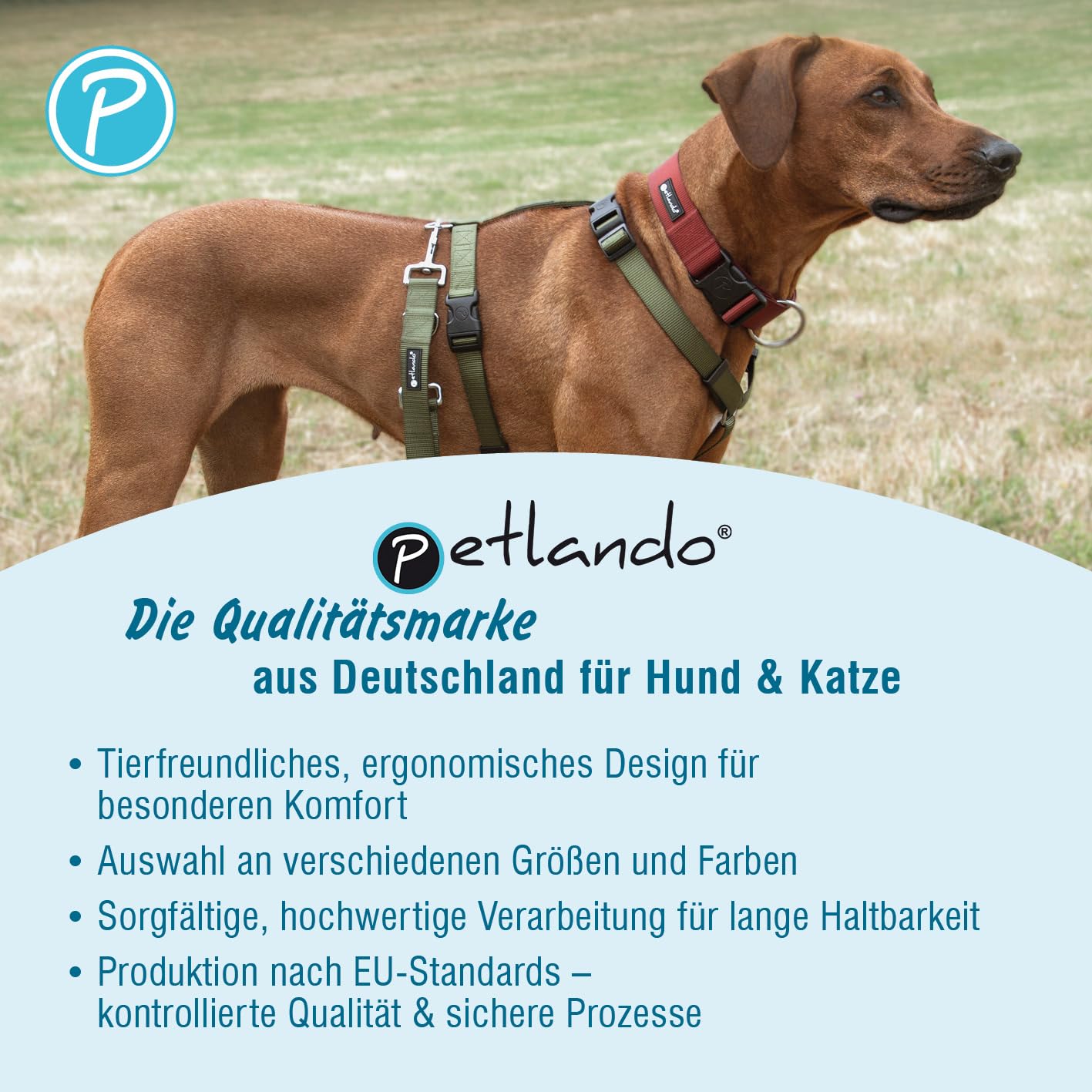 Petlando Hundegeschirr Anti Zug, Basic Comfort Plus, Schwarz, S | Vertikaler Brust-D-Ring, Ohne Über-Kopf-Ziehen, Stufenlos verstellbar, Gepolstert, Geschirr für kleine Hunde